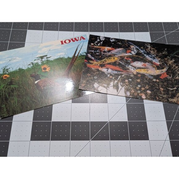 Other - Animals of Iowa Post Cards lot 2 Pheasant Koi Des Monies Botanical Garden unpost